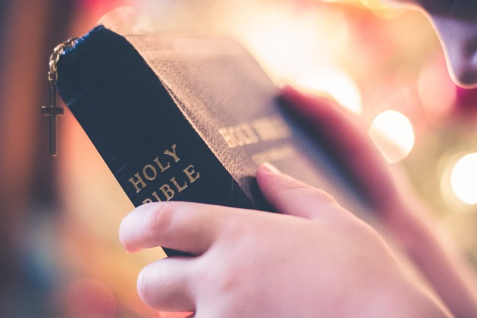 Hands holding Bible